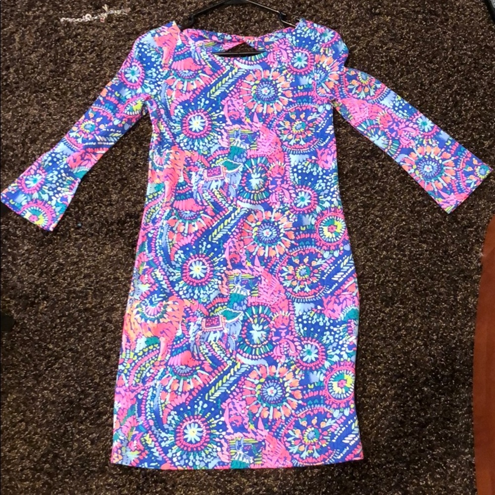 Lily Pulitzer Dress (Never Worn)